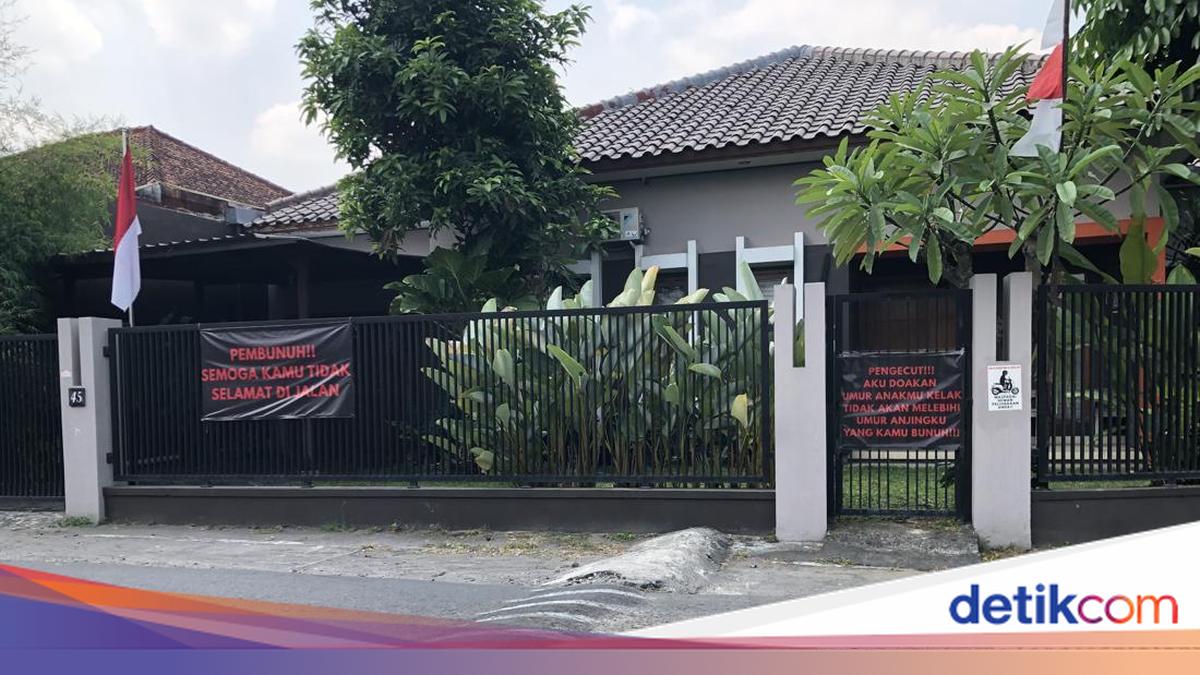 Pemilik John Wick di Bantul Ungkap 2 Anjingnya Mati Diracun
