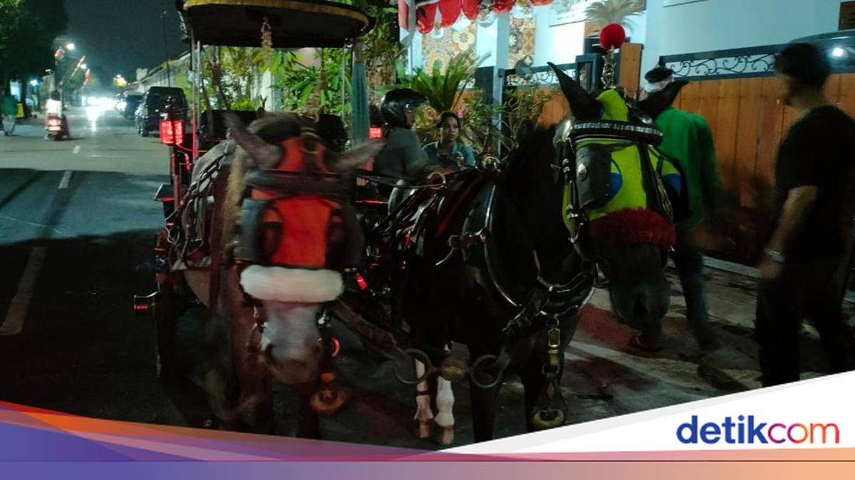 Kuda Andong Lepas Kendali Tabrak 2 Mobil-Pagar di Pakualaman Jogja