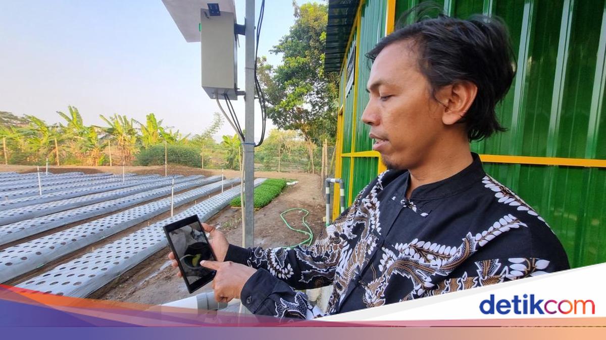 Potret Pertanian Canggih Pakai AI di Pleret Bantul