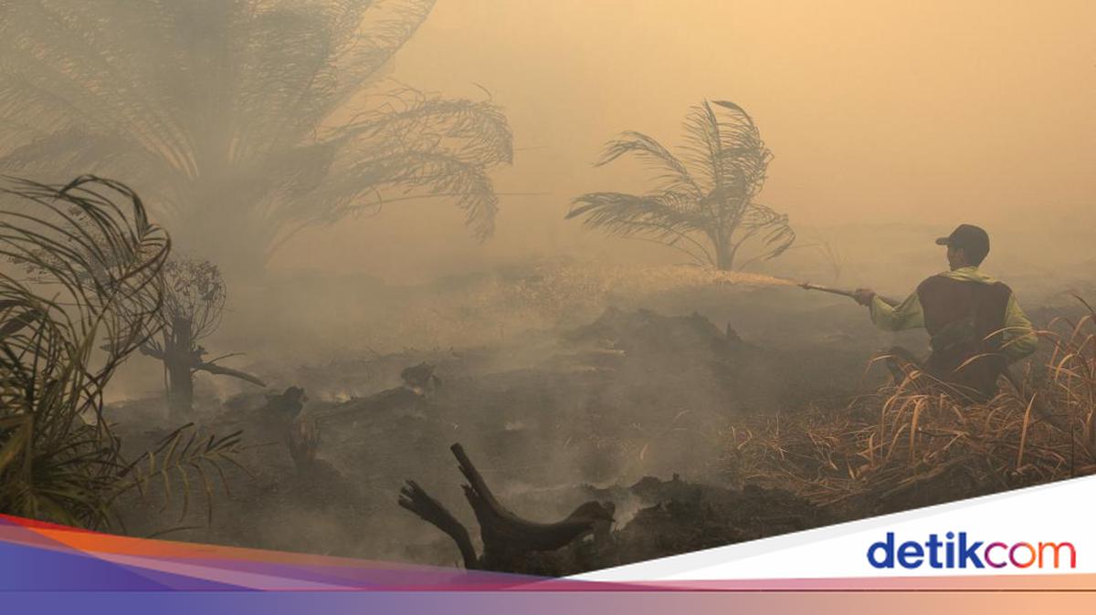 Karhutla: 19 Perusahaan Dimintai Tanggung Jawab