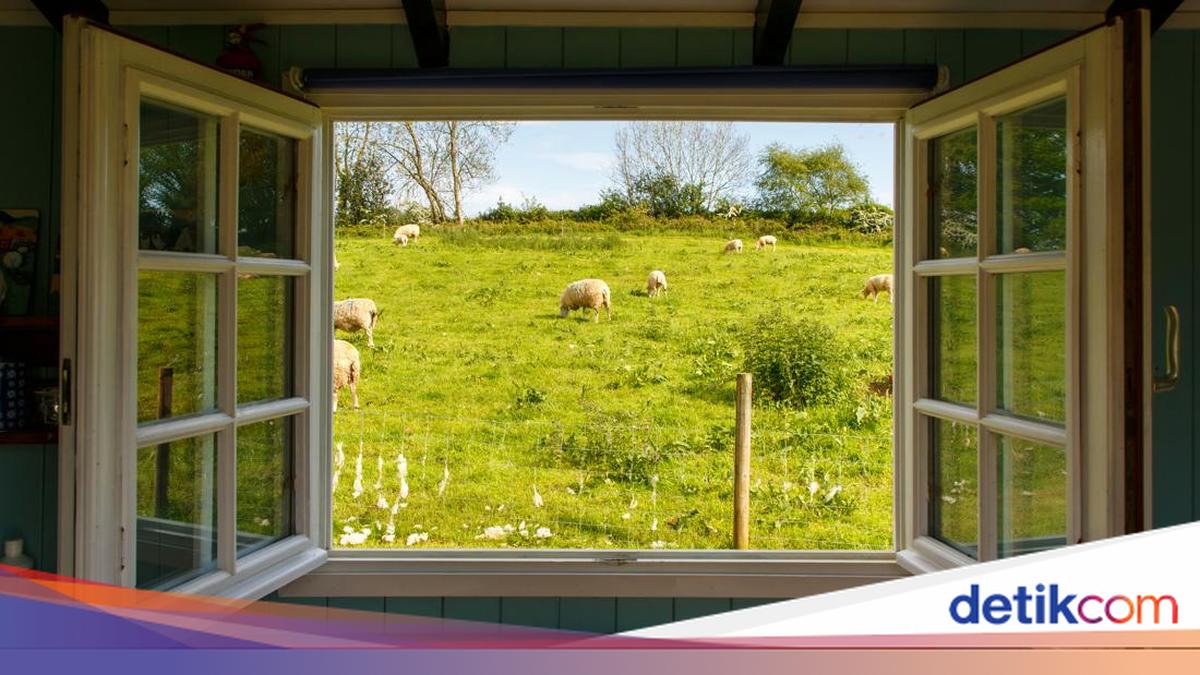 7 Cara Membuat Rumah Sejuk Tanpa Menyalakan AC, Terapkan!