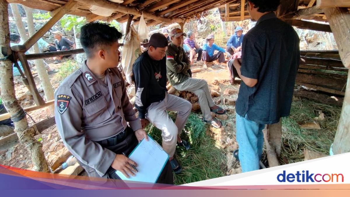 Polisi Selidiki Sapi di Gunungkidul Mati Misterius-Kaki dan Paha Hilang