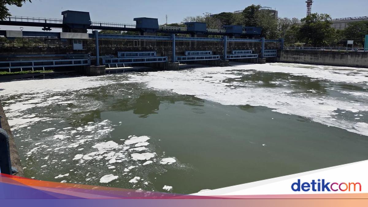 Terungkap! Penyebab Sungai Surabaya Berbusa gegara Kebakaran PT Wings