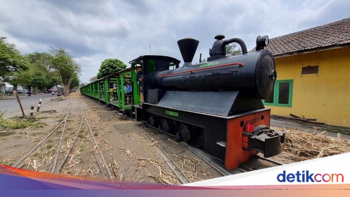 Serunya Naik Lori di Madukismo Bantul Sambil Melihat Produksi Gula