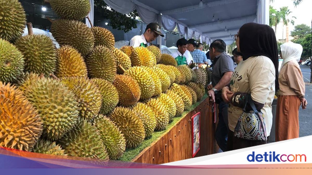 Merapat Dab! Trans Durian Roadshow Hadir di Plaza Ambarrukmo