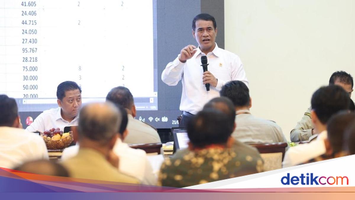 Mentan Siapkan Bioetanol 1-2 Juta Hektar, 70% Dana Swasta