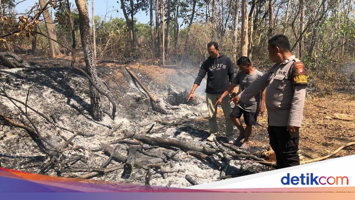 Tragis Lansia Gunungkidul Tewas Terbakar di Ladang