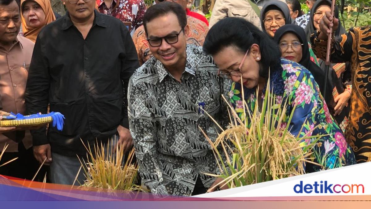 Parkir di Alkid Jogja Bakal Digital Buntut Food Truck Bolosego Kena Pungli