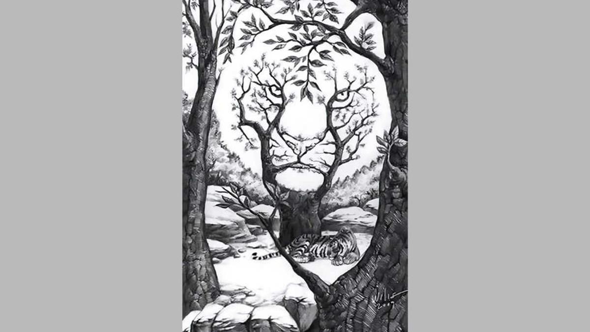 Tes Kepribadian: Harimau Besar, Harimau Kecil, atau Hutan yang Pertama Kamu Lihat? Ini Artinya…