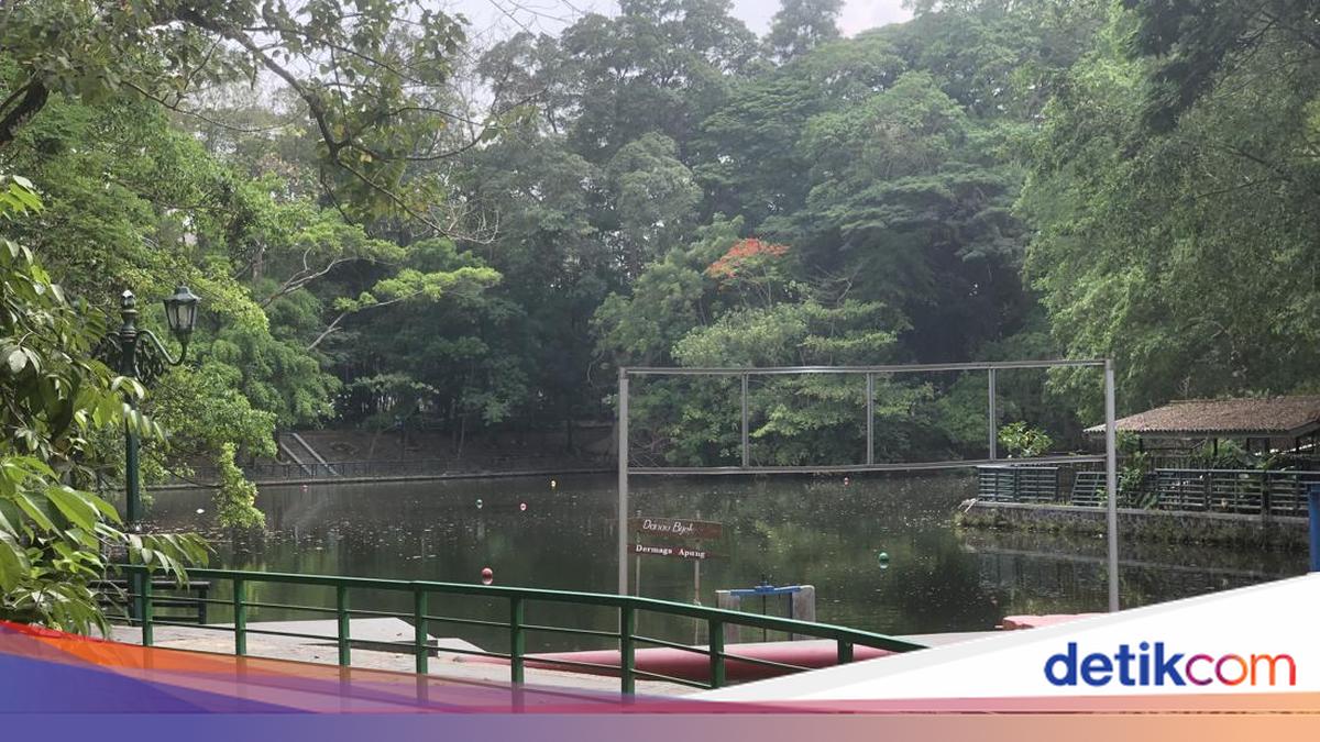 Misteri Pungutan Rp 129.500/Jam buat Kongkow di Wisdom Park UGM