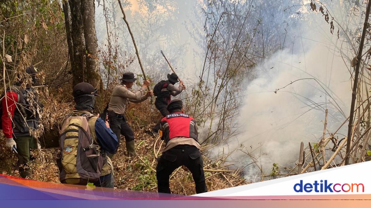 Karhutla Gunung Arjuno Malang-Kota Batu Sisakan 16 Titik Api