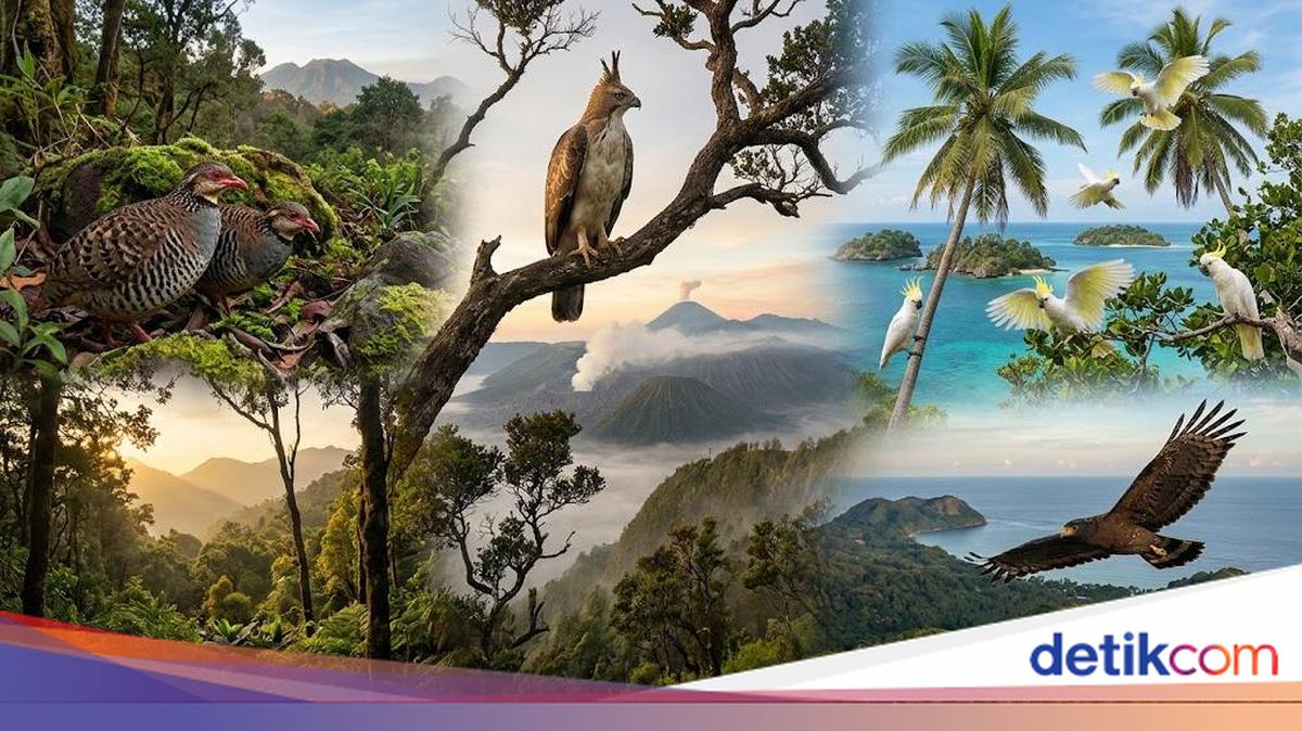 4 Burung Endemik Jawa Timur, Ada Elang Langka dari Bawean