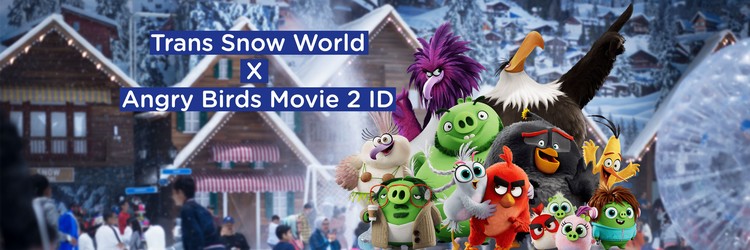Trans Snow World X Angry Birds Movie 2 ID