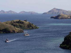 Sandiaga: Kunjungan Wisatawan ke Labuan Bajo Sudah Mulai Pulih Sandiaga: Kunjungan Wisatawan ke Labuan Bajo Sudah Mulai Pulih