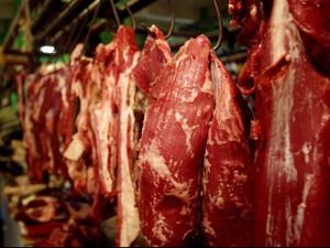 Setelah Bawang, Pemerintah Mau Impor Daging 10.000 Ton Sebelum Puasa