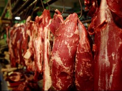 Harga Sapi di Feedloter Tetap, di Pedagang yang Bakal Naik