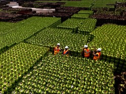 Jelang Ramadan, 8 Juta Elpiji 3 Kg Siap Dipasok