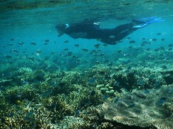 Mencari Flor de la Mar, Kapal Pembawa Harta Karun yang Karam di Laut RI