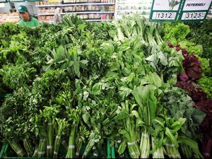 Studi: Cegah Glaukoma dengan Rajin Makan Sayur-sayuran Hijau