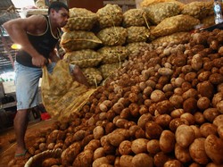 Tekan Inflasi Pangan, Pemerintah Gelar Operasi Pasar di 88 Titik