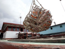 Apa Alasan RI Impor Beras? Ini Kata Mendag