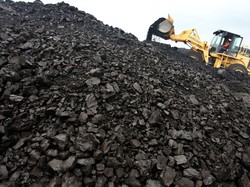 Ini Jurus ESDM Hadapi Serbuan Tenaga Kerja Asing di Pertambangan