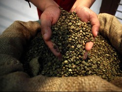 Kopi Indonesia Mulai Digemari di Korsel