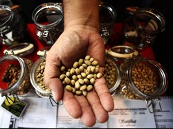 Kopi Dituding Sebabkan Kanker, Kedai di California Dipaksa Beri Peringatan