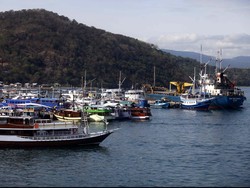 Kemenko Kemaritiman: RI Masih Kekurangan 5.000 Kapal Besar