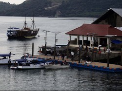 50 Ton Minyak Tumpah di Teluk Bayur, Tak Ganggu Pelabuhan