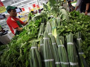 Kementan: 900 Ton Benih Hortikultura Diekspor ke 10 Negara