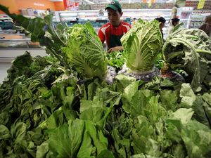 Ketahanan Pangan RI Membaik, Peneliti Ingatkan Cermat Baca Indeks