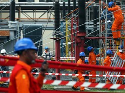 PLN Buka Lowongan untuk Lulusan D3 hingga S1, Cek Syaratnya!