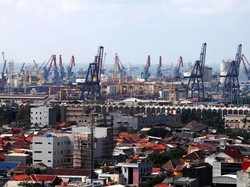 Pungli Masih Merajalela di Priok, Tahu Alasannya?