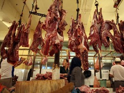 Berani Naikkan Harga, Izin Impor Sapi Feedloter Dicabut