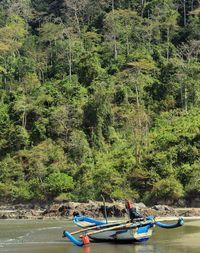 Mudik ke Banyuwangi, Ini 20 Destinasi yang Instagrammable