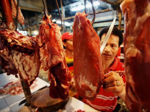 RI Mau Impor Daging Kerbau dan Sapi dari India, Masing-masing 100 Ribu Ton