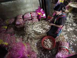 Turunkan Harga, Bulog Bakal Impor 1.000 Ton Bawang Putih