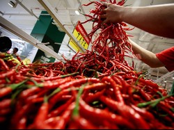 Harga Cabai Melonjak, Pemerintah Minta PPI Stabilkan Harga