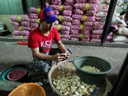 Ini Sebabnya Petani Bawang Merah Bergantung Pada Pengepul