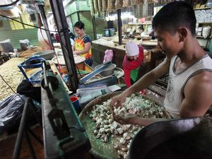 Usulan Kementan: Importir Wajib Tanam Bawang Putih di Dalam Negeri