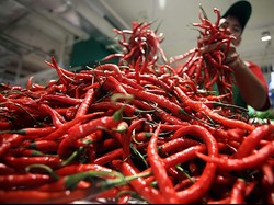 Kementan: Gerhana Matahari Picu Lonjakan Harga Cabai