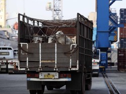 Pedagang Dorong Pemerintah Sederhanakan Distribusi Barang