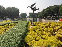 Kementerian LHK: Tingkat Ketaatan Perusahaan Kelola Lingkungan Meningkat