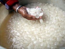 Kolang-kaling Bisa Obati Diabetes? Ini Kata Ahli Gizi