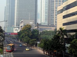 Aksi Pasukan Hijau Bikin Jalanan Ibu Kota Adem