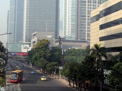 Aksi Pasukan Hijau Bikin Jalanan Ibu Kota Adem