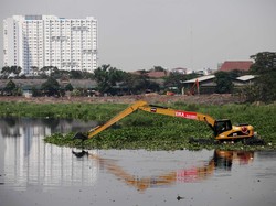 Kejari Jakbar akan Lelang 5 Ekskavator Rampasan Kasus Alex Usman