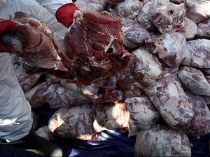11 Ton Daging Celeng Selundupan Sumatera ke Jawa Dimusnahkan 11 Ton Daging Celeng Selundupan Sumatera ke Jawa Dimusnahkan