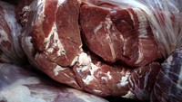 Begini Cara Bedakan Daging Celeng dan Sapi